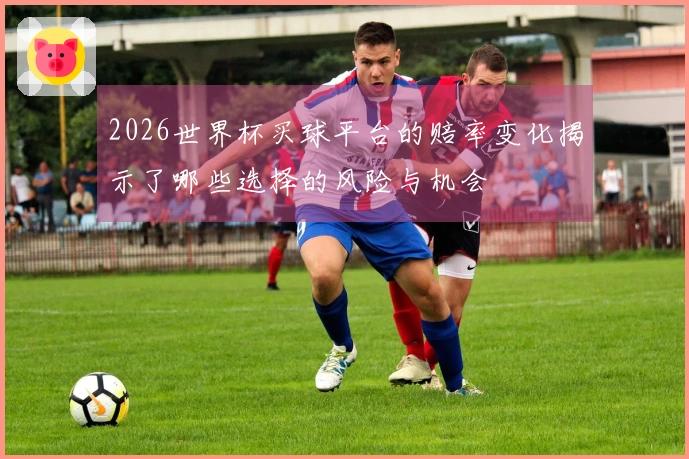 2026世界杯买球平台的赔率变化揭示了哪些选择的风险与机会