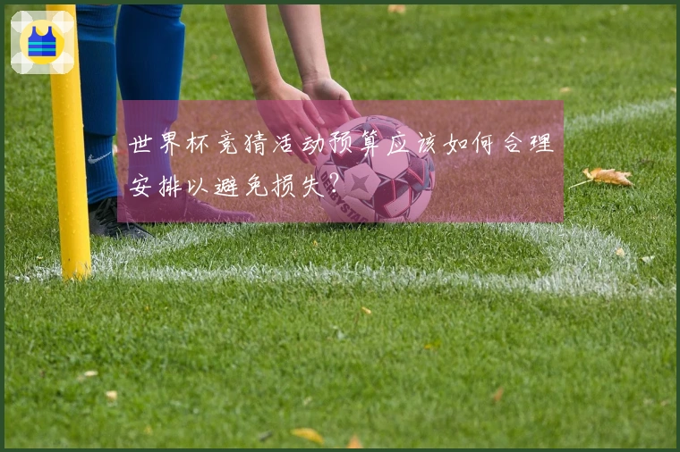 世界杯竞猜活动预算应该如何合理安排以避免损失？