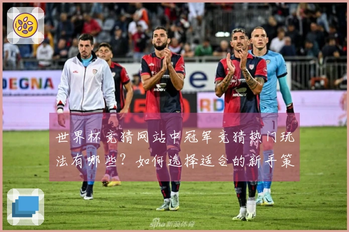 世界杯竞猜网站中冠军竞猜热门玩法有哪些？如何选择适合的新手策略？
