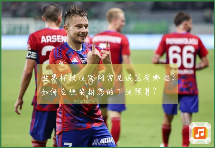 世界杯投注官网常见误区有哪些？如何合理安排您的下注预算？