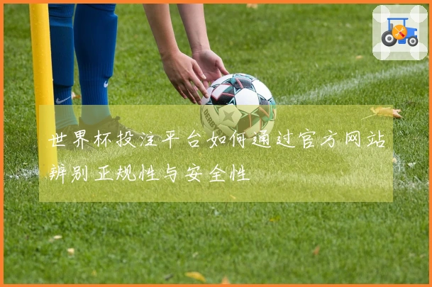 世界杯投注平台如何通过官方网站辨别正规性与安全性