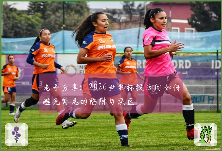 老手分享：2026世界杯投注时如何避免常见的陷阱与误区