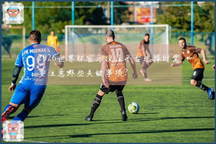 2026世界杯官方投注平台选择时需要注意哪些关键事项?