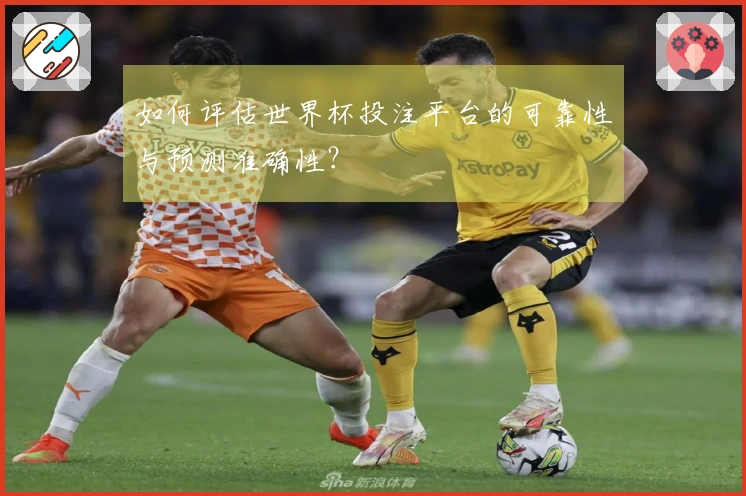 如何评估世界杯投注平台的可靠性与预测准确性？