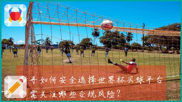 新手如何安全选择世界杯买球平台？需关注哪些合规风险？