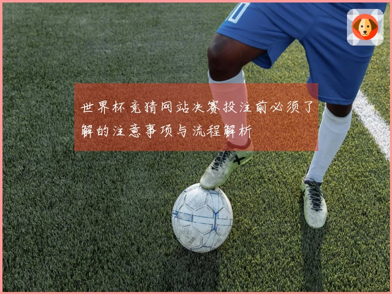 世界杯竞猜网站决赛投注前必须了解的注意事项与流程解析