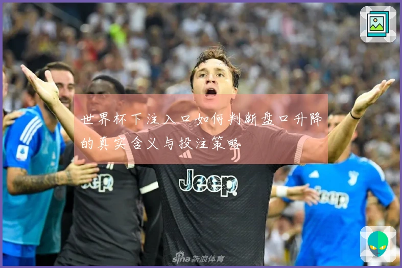 世界杯下注入口如何判断盘口升降的真实含义与投注策略