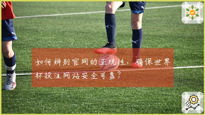 如何辨别官网的正规性，确保世界杯投注网站安全可靠？
